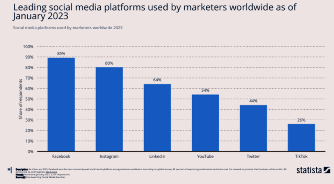 leading social media platforms graph