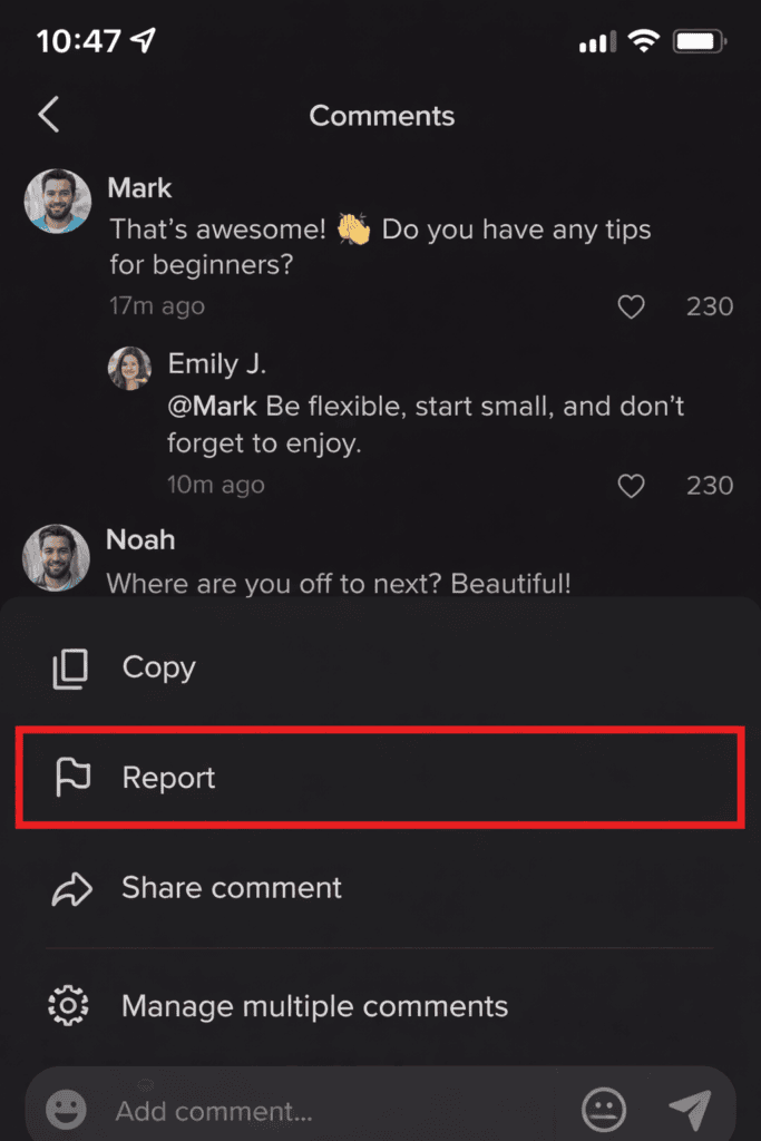 report-comment-screenshot