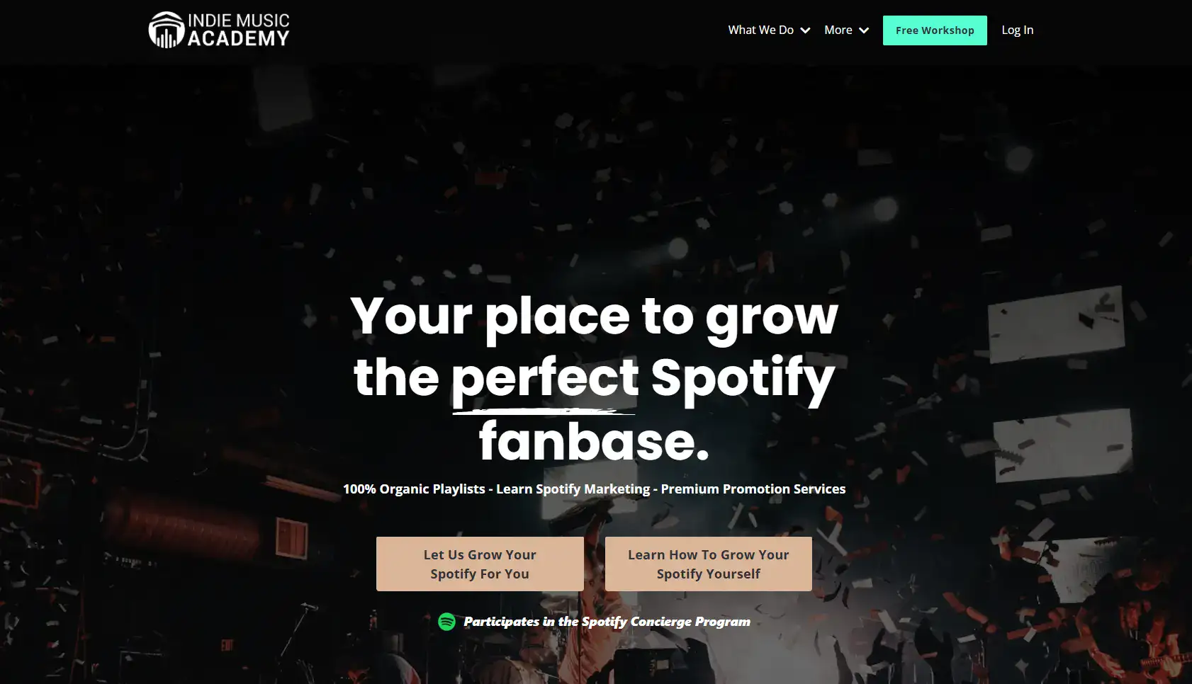 Indie-music-academy Indie Music Academy